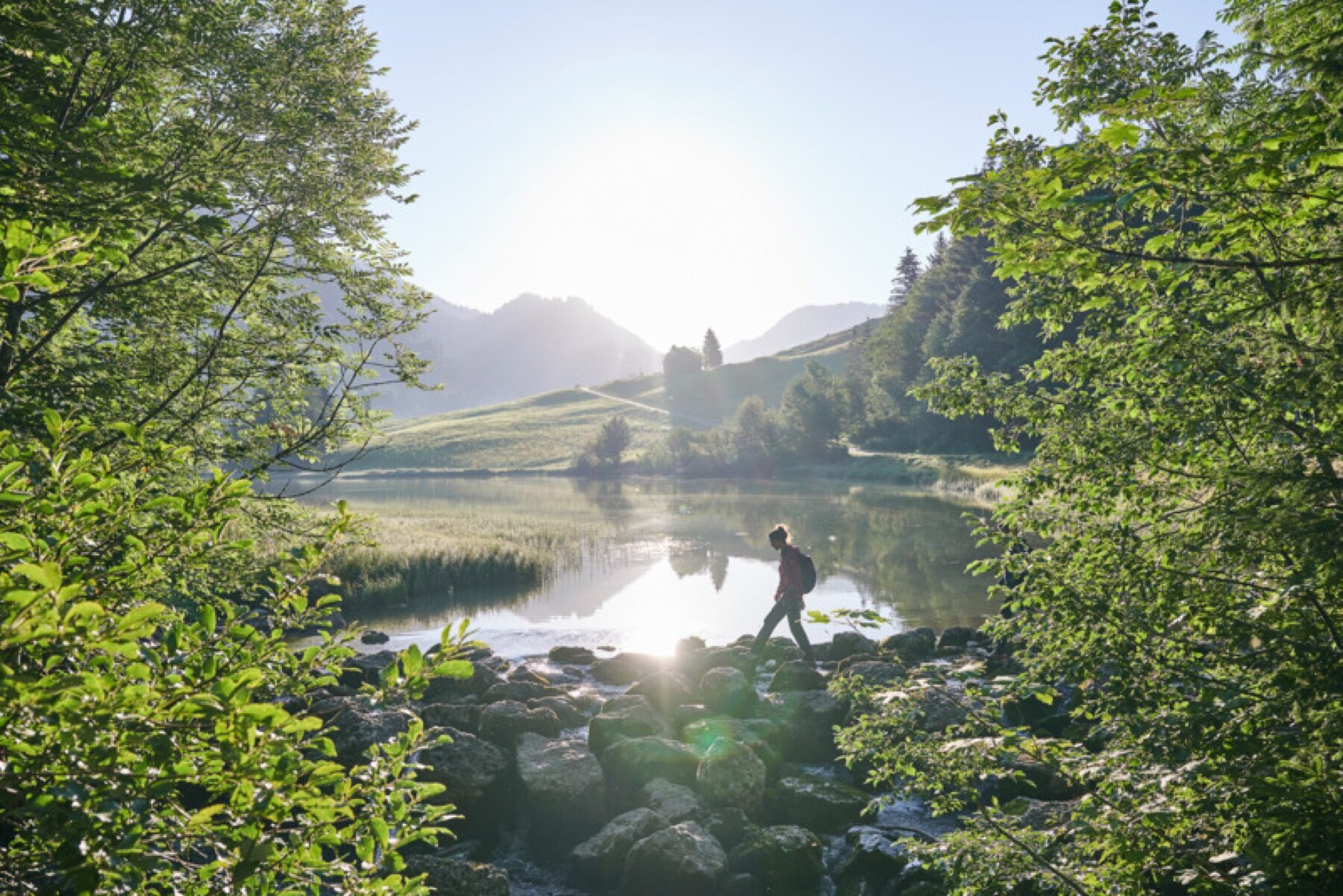 Vorderwald im Bregenzerwald