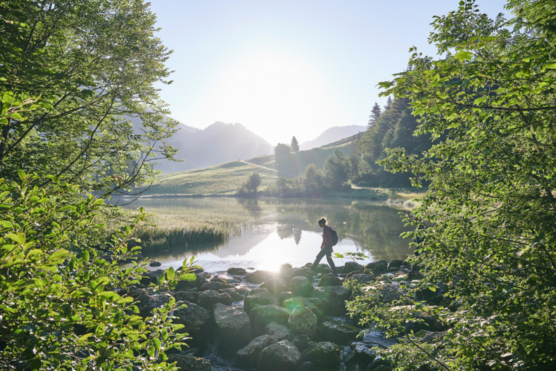 Vorderwald